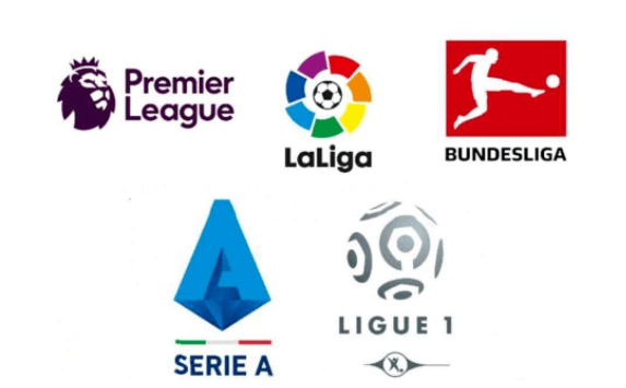 对阵容的预 对阵容的预